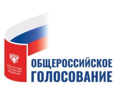 Петербург готов к проведению общероссийского голосования по поправкам в Конституцию. Разграничение потоков